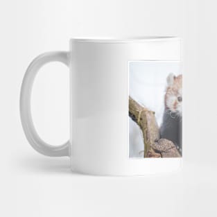 Red Panda Mug